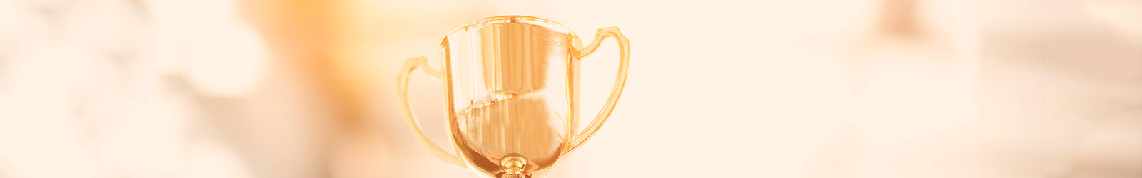 IndiGo awards and achievements