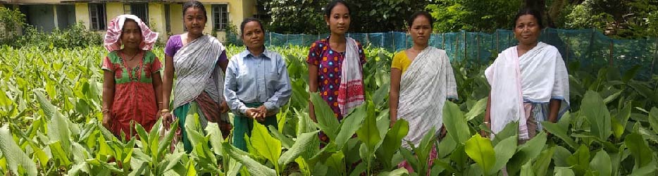 PrtnrPg_Bnnr_Grameen