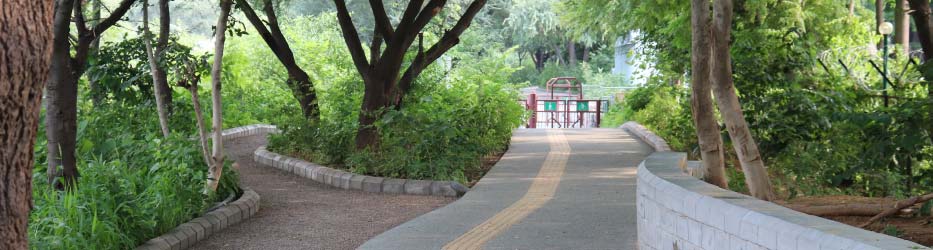 SectionPg-Bnnr-Environment