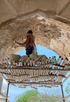 Aga-Khan-Foundation-Qutb-4