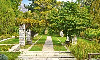 6ECheeky_DiomidousBotanical