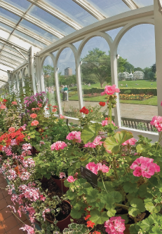 Botanical Gardens Botanical Gardens