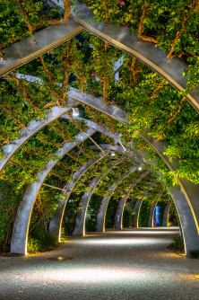 South Bank Parklands