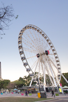 Wheel of Brisbane