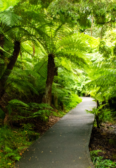 Australian National Botanic Gardens
