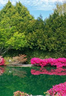 Cockington Green Gardens