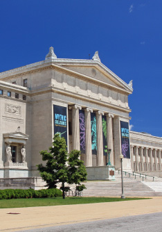 The Field Museum The Field Museum