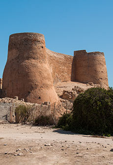 Tarout Castle and old town Tarout Castle and old town