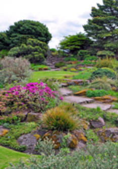 The Royal Botanic Garden Edinburgh The Royal Botanic Garden Edinburgh