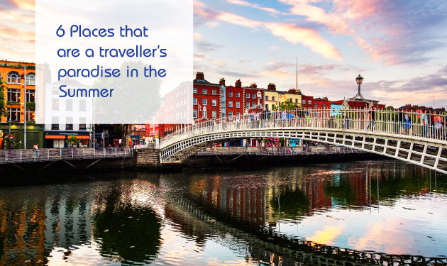 Blog-Summer-Banner-Resp