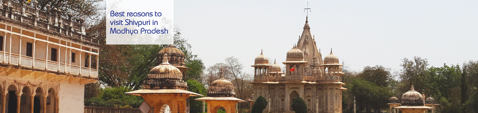 15 reasons why Shivpuri in Madhya Pradesh is a city worth exploring