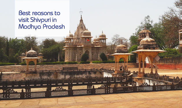 15 reasons why Shivpuri in Madhya Pradesh is a city worth exploring
