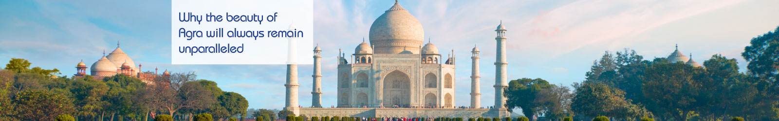 Agra-LP-Banner
