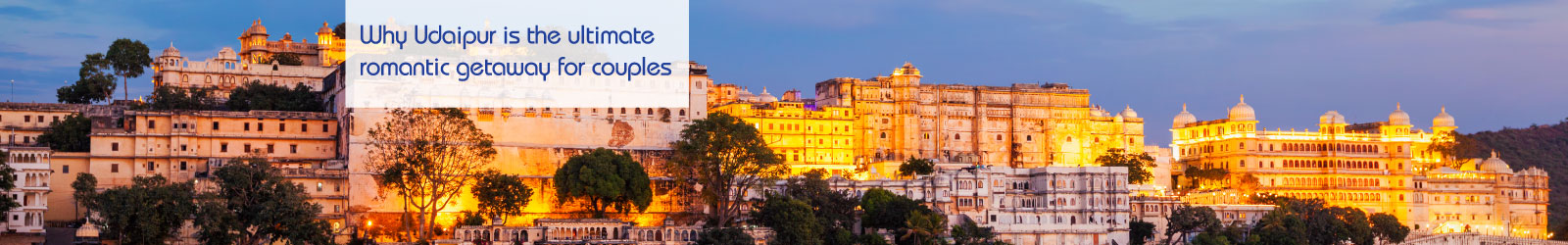 Udaipur-LP-Banner