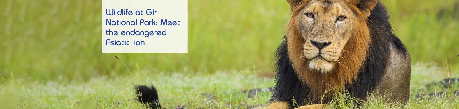 South-Indain-Dishes_lp