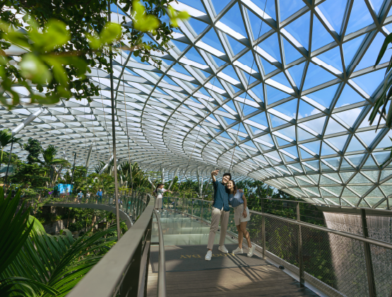 Canopy-Park Canopy-Park