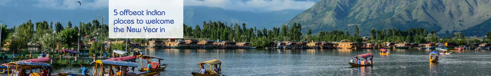 Indian-places-New-Year-in-LP