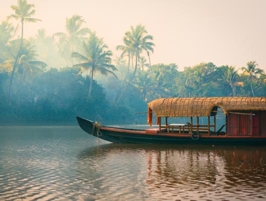Kochi-Thumbnail Kochi-Thumbnail