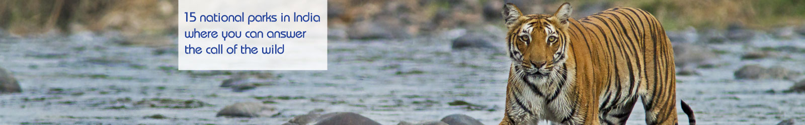 NationalPark-LP-Banner