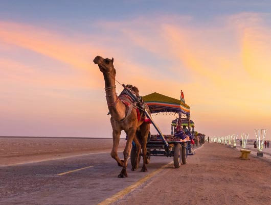 Runn-of-Kutch-Thumbnail Runn-of-Kutch-Thumbnail