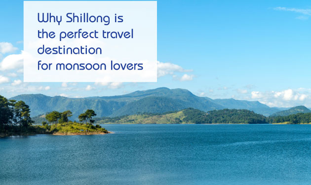 Shillong-LP-Banner-Resp