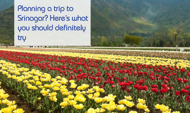 Srinagar-Banner-Mweb