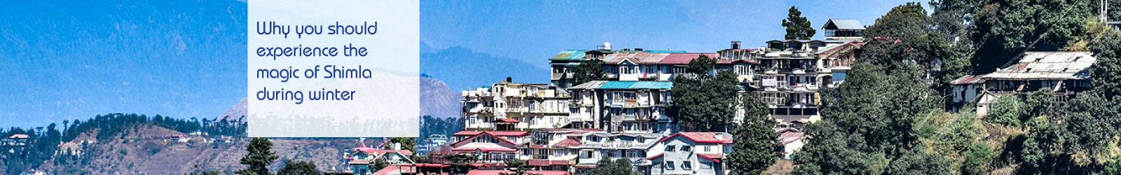 Shimla_LP