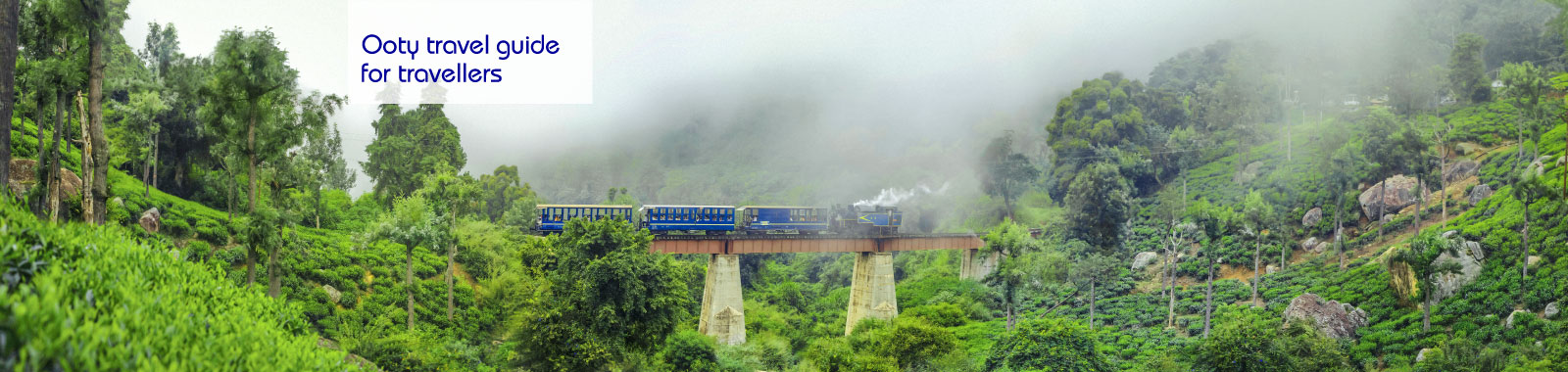 Travel guide: What makes Ooty a must-visit destination for travellers