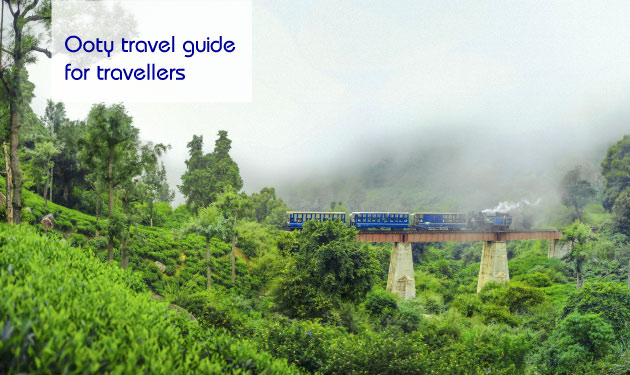 Travel guide: What makes Ooty a must-visit destination for travellers