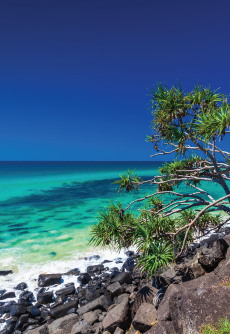 Burleigh Heads National Park