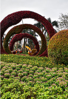 Baiyun Mountain Park