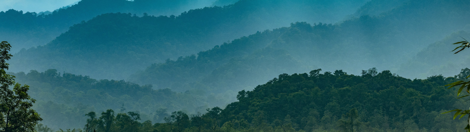 Destination-banner-desktop