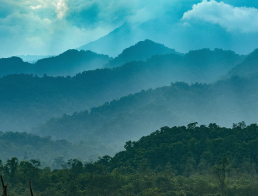 Destination-banner-mweb