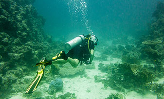 MoreReasons_Scuba MoreReasons_Scuba