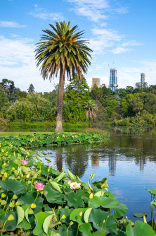 Royal Botanic Gardens