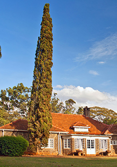 Karen Blixen Museum