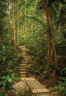 Penang National Park Penang National Park