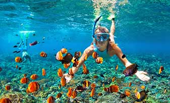 Snorkeling Snorkeling