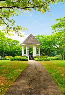Singapore Botanic Gardens