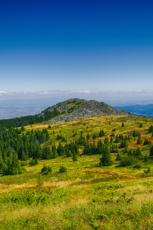 Vitosha Mountain