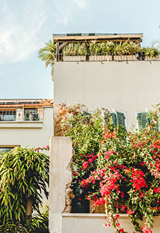 Neve Tzedek Quarter Neve Tzedek Quarter