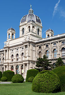 The Museum of Fine Arts