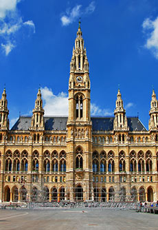 The Vienna City Hall