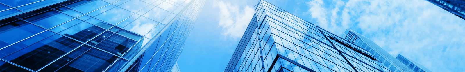 Interglobe-Enterprise