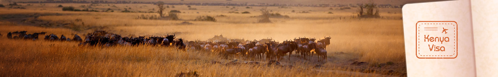 Kenya Visa
