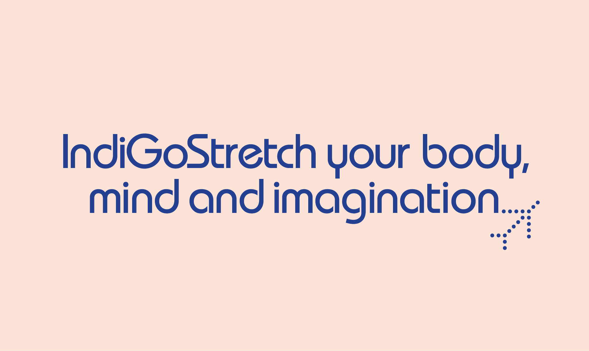 IndiGoStretch Business Class Terms & Conditions